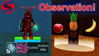 How To Get Observation Haki V2 Blox Fruits [upl. by Araic]