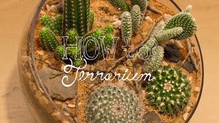 Make a Cactus Terrarium  How To Terrarium ep 4 [upl. by Osi]