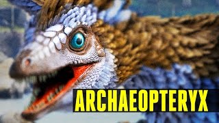 ARCHAEOPTERYX  How to tameEverything you need to know  Ark Survival Evolved Update 247 [upl. by Sy]