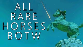 All Rare Horses amp Where to Find Them BOTW [upl. by Sliwa]