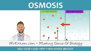 Osmosis  GCSE Biology 91 [upl. by Corliss]