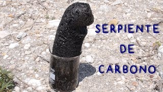 Serpiente de Carbono Deshidratacion de Azúcar con Ácido Sulfúrico [upl. by Meill]