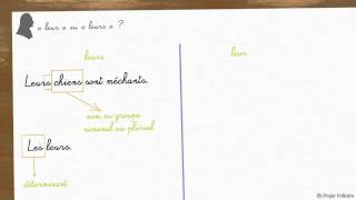 Practise your French Partitive Articles DU DE LA DE L amp DES [upl. by Tacita844]