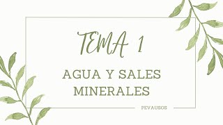 BIOLOGÍA SELECTIVIDAD AGUA Y SALES MINERALES [upl. by Falzetta]