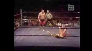 Pedro Morales vs Mr Fuji WWWF TV1972 [upl. by Maggs]