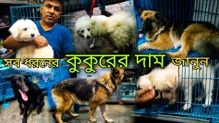 কিউট বিদেশী কুকুর কিনুন 🐶  জার্মান শেফার্ড এর দাম🐕  Katabon Pet market Dhaka  Biggest Dog Market [upl. by Jessica]