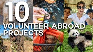 10 LIFE CHANGING VOLUNTEER ABROAD EXPERIENCES [upl. by Patric]