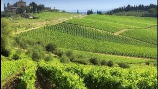 Chianti best routes in Tuscany [upl. by Eelrihs]