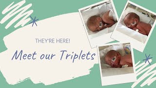 Meet Our Triplets  Name and Gender Reveal [upl. by Ltney]