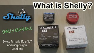 Shelly Overview  What is a Shelly and how you can use it [upl. by Eimmac]