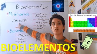 Bioelementos primarios y secundarios EN 3 MINUTOS [upl. by Niko988]