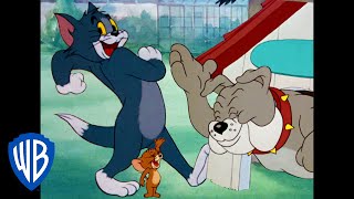 Tom y Jerry en Español  La noche divertida  WB Kids [upl. by Venn64]