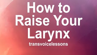 The Art of Voice Feminization  Part 2A Larynx Basics How to Raise the Larynx and Common Issues [upl. by Lielos662]