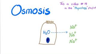 Osmosis  Physiology [upl. by Latyrc]