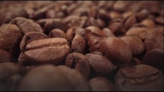 How to Decaffeinate Coffee Coffee Decaffeination Processes [upl. by Llerrot305]