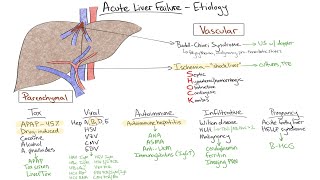 Hepatitis B Lab diagnosis within 5 minutes [upl. by Fari]