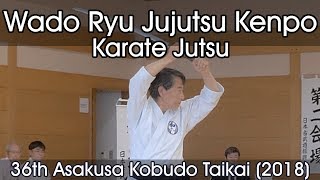 Wado Ryu Jujutsu Kempo Karate Jutsu  36th Asakusa Kobudo Taikai 2018 [upl. by Eceinehs]