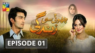 Choti Si Zindagi Episode 01 HUM TV Drama [upl. by Litton]