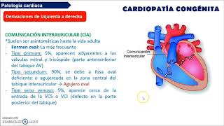 CARDIOPATIAS CONGÉNITAS [upl. by Eibbor]