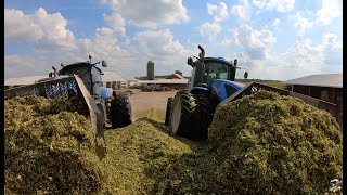 MORE 2019 Corn Silage Chopping near Versailles Ohio [upl. by Etienne]