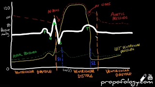 Cardiac Cycle in 3 Minutes Physiology [upl. by Ethelyn151]