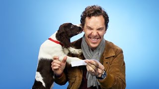 Benedict Cumberbatch Plays With Puppies While Answering Fan Questions [upl. by Aita]