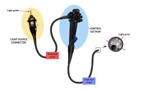 Endoscope Technology TheoryLesson 3Endoscope Parts [upl. by Lena]