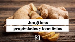 Jengibre propiedades y beneficios para la salud [upl. by Droffilc655]