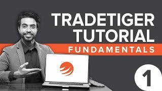 Sharekhan TradeTiger Tutorial Fundamentals [upl. by Eloci376]