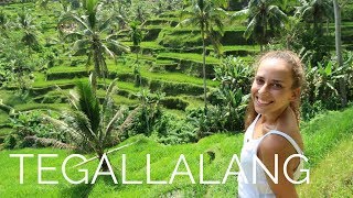 MAGICAL 🌿 Tegallalang Rice Terraces  UBUDBALI [upl. by Adnorahs]