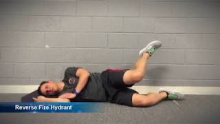 Hip Clamshell Exercise progression [upl. by Ihcur151]