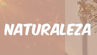 Anuel AA  Naturaleza Letra [upl. by Ymrots252]