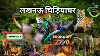 Lucknow Zoo  चिड़ियाघर लखनऊ  Lucknow  Uttar Pradesh India [upl. by Ameerak753]