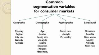 Market Segmentation Introduction [upl. by Annoif462]