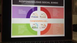 Benchmarking Grupo Bimbo [upl. by Mortimer]