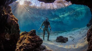 Found Crystal Clear Swimming Spot in Florida Beware Alligators  DALLMYD [upl. by Brenn405]