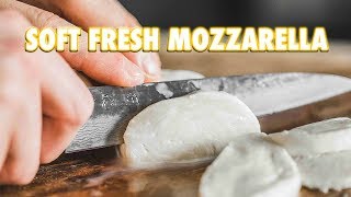 30 Minute Homemade Fresh Mozzarella Cheese [upl. by Enelez]