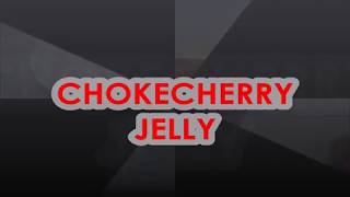 CHOKECHERRY JELLY [upl. by Ikkaj]