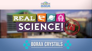 Real Science Borax Crystals  Museum at Home [upl. by Ynnot701]