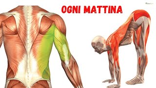 6 esercizi stretching da fare tutti i giorni [upl. by Ame208]