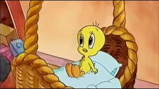 Baby looney Toons Hindi Mini Episode A [upl. by Irrek67]