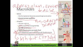 Pharmacology Macrolide Antibiotics [upl. by Vizza]