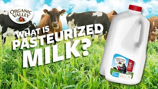 What is Pasteurized milk  Ask Organic Valley [upl. by Zobe]