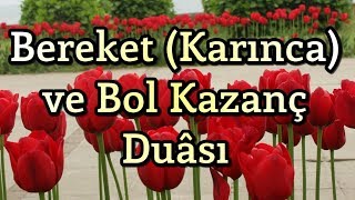 Bereket Duası  Karınca Duası  Bol Rızık Duası  Amin [upl. by Trula219]