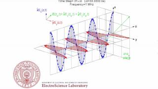 Linear Polarization Animation [upl. by Rector]