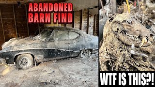 First Wash In 30 Years ABANDONED Barn Find Buick Skylark Disaster Detail  Satisfying Restoration [upl. by Elyn]