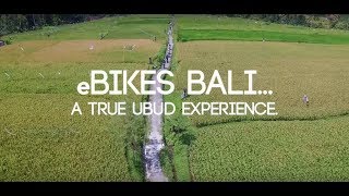 Ubud Electric Cycling Tour to Tegalalang Rice Terraces  eBikes Bali [upl. by Ansell463]