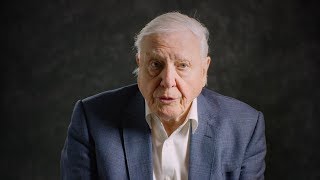 David Attenborough Explains What We Need to Do to Stop OverFishing [upl. by Asserak183]