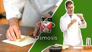 Osmosis  GCSE Science Required Practical [upl. by Vey]