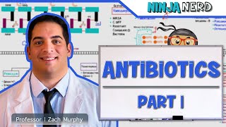 Antibiotics Cell Wall Synthesis Inhibitors Part 1 [upl. by Acnoib280]